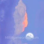 Avatar of Zara Abbas